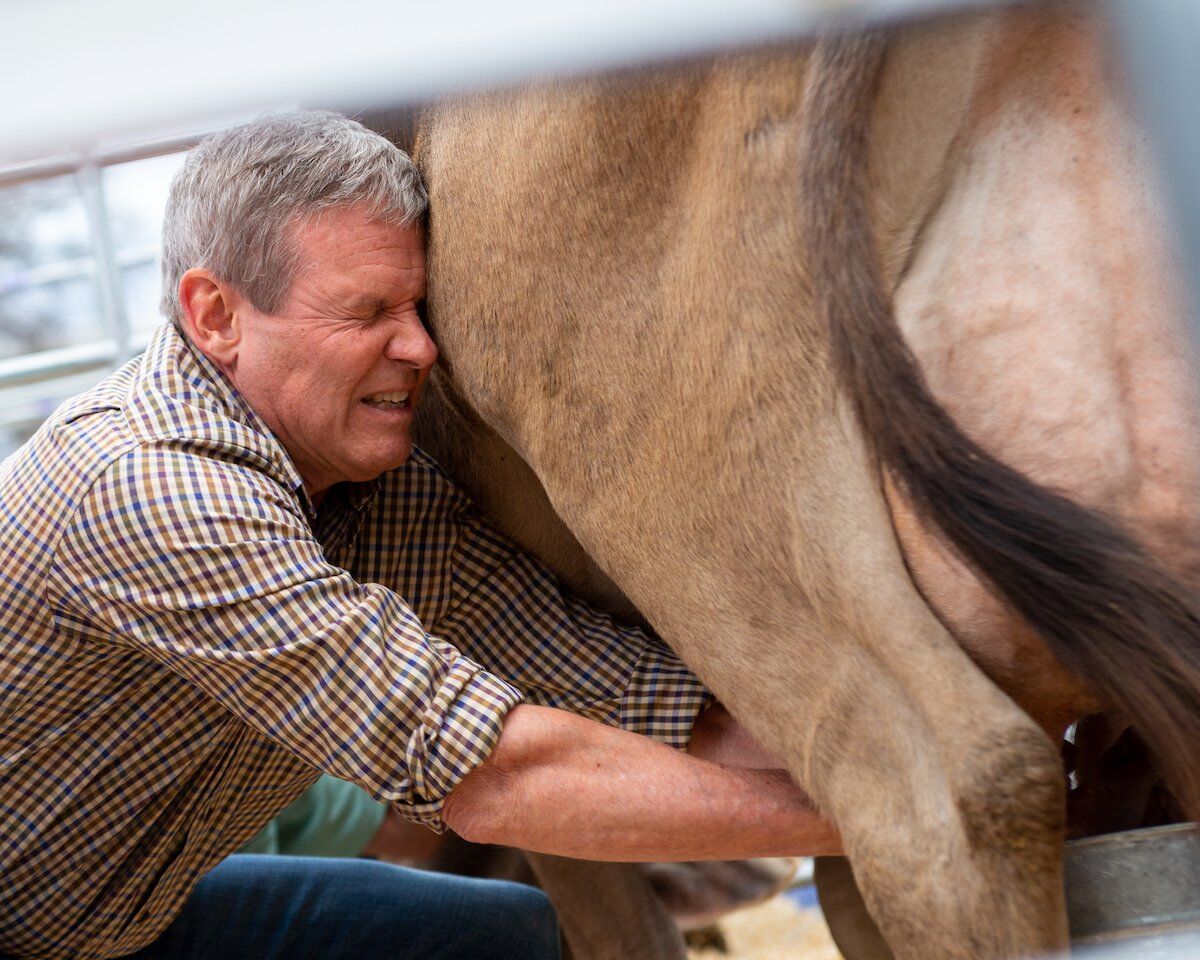 Gov. Bill Lee milks a cow as part of Ag Day on the Hill, March 2022